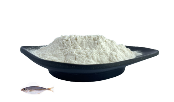 Fish collagen peptide